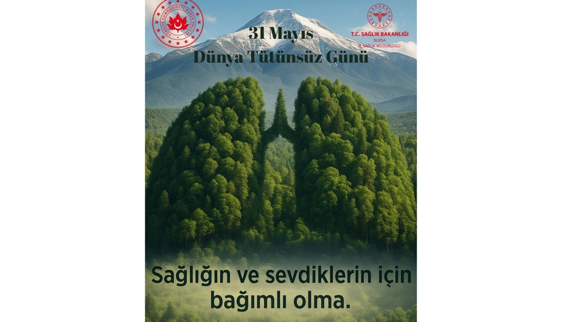 31 Mayıs Dünya Tütünsüz Günü